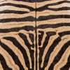 A Grade Zebra Rug