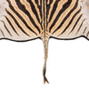 A Grade Zebra Rug