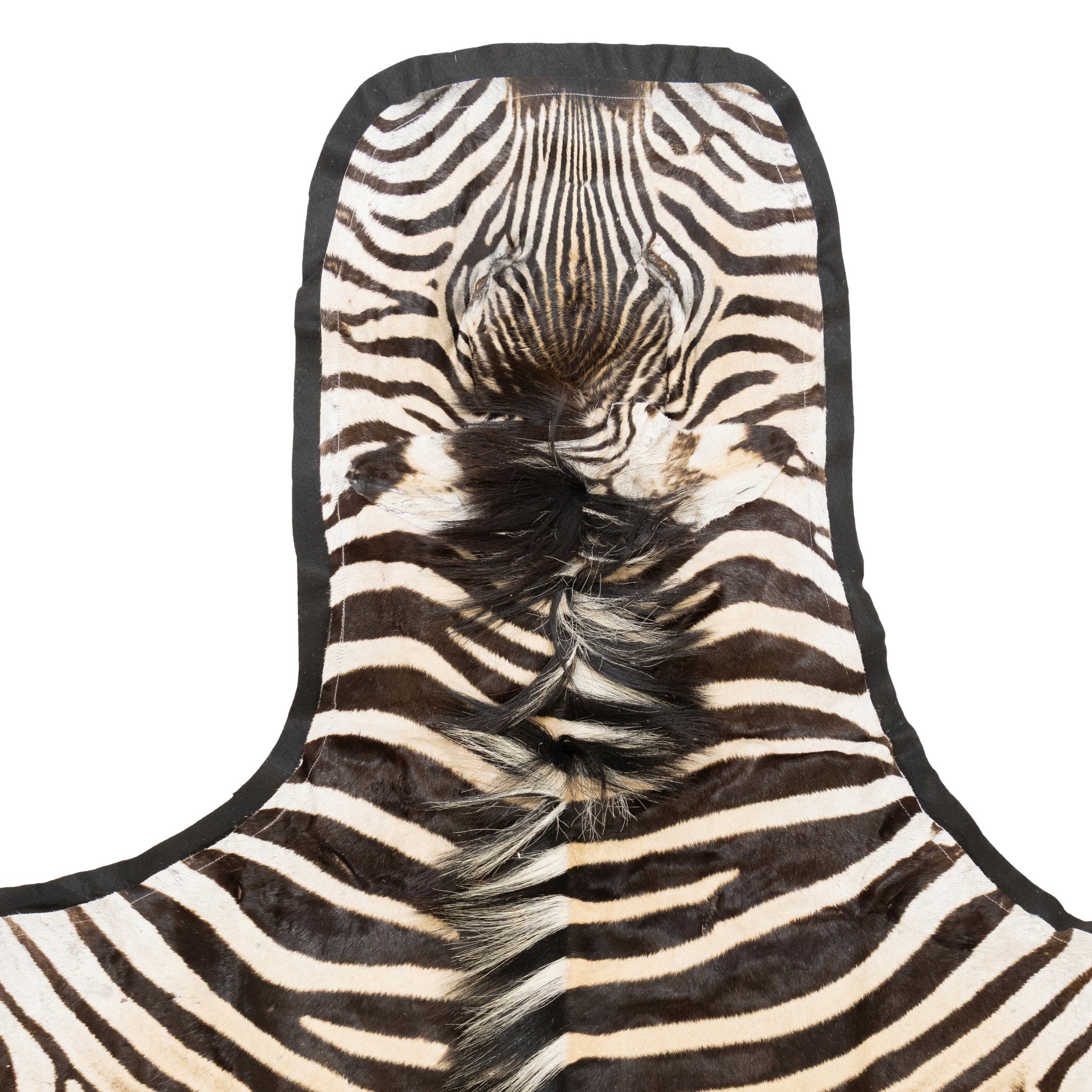 A Grade Zebra Rug