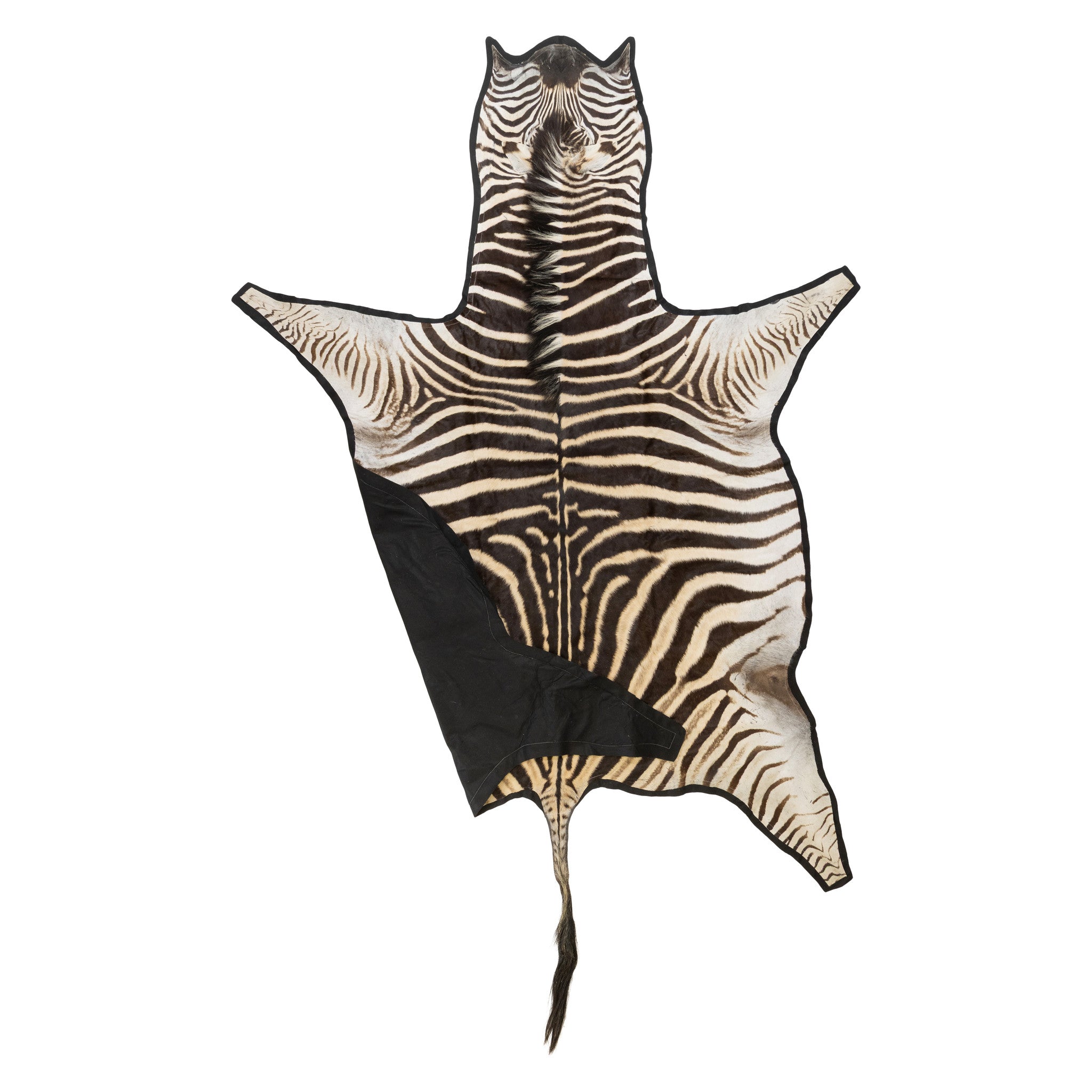 A Grade Zebra Rug