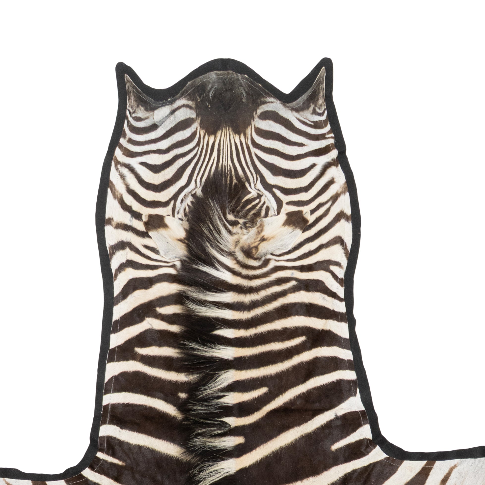 A Grade Zebra Rug