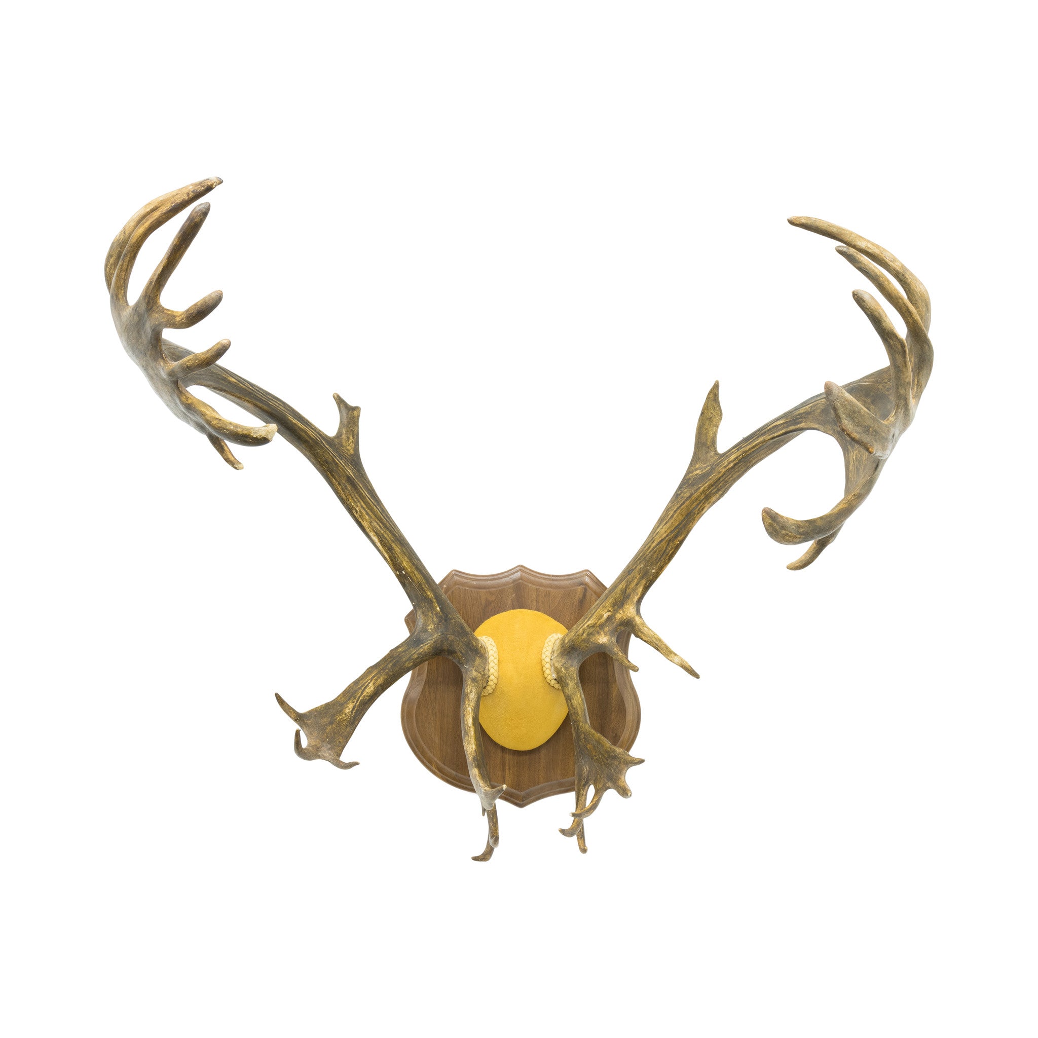 Caribou Rack, Furnishings, Taxidermy, Elk