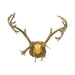 Caribou Rack, Furnishings, Taxidermy, Elk