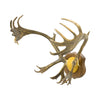 Caribou Rack