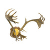Caribou Rack