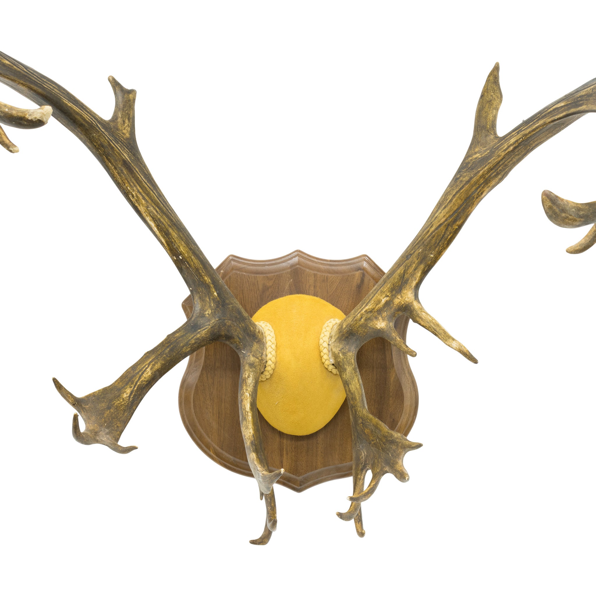 Caribou Rack