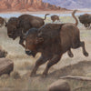 Bison Hunt by Charles Damrow