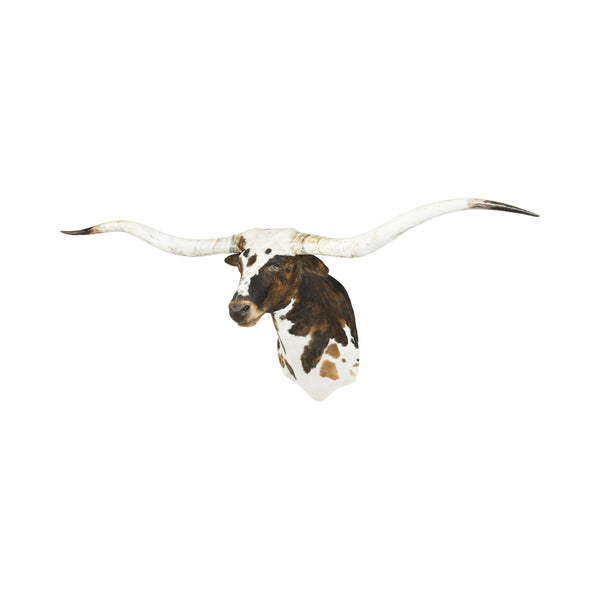 Tri Colored Texas Longhorn, Furnishings, Taxidermy, Longhorn