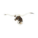 Tri Colored Texas Longhorn, Furnishings, Taxidermy, Longhorn