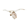 Brown and White Texas Longhorn, Furnishings, Taxidermy, Longhorn