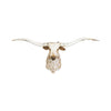 Brown and White Texas Longhorn