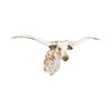 Brown and White Texas Longhorn