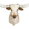 Brown and White Texas Longhorn