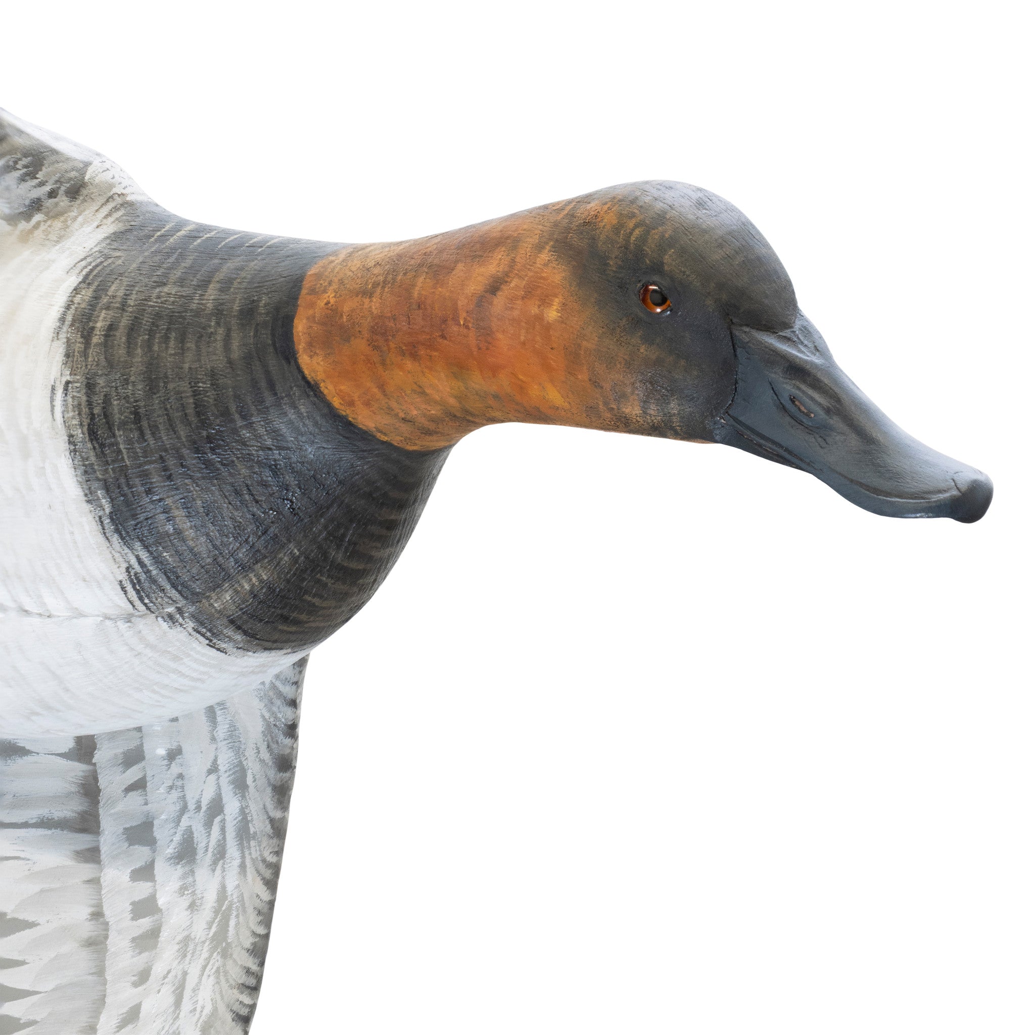 Pair Flying Canvasback Decoys by Borrett