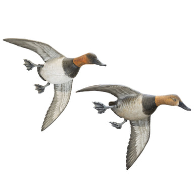 Pair Flying Canvasback Decoys by Borrett, Sporting Goods, Hunting, Waterfowl Decoy