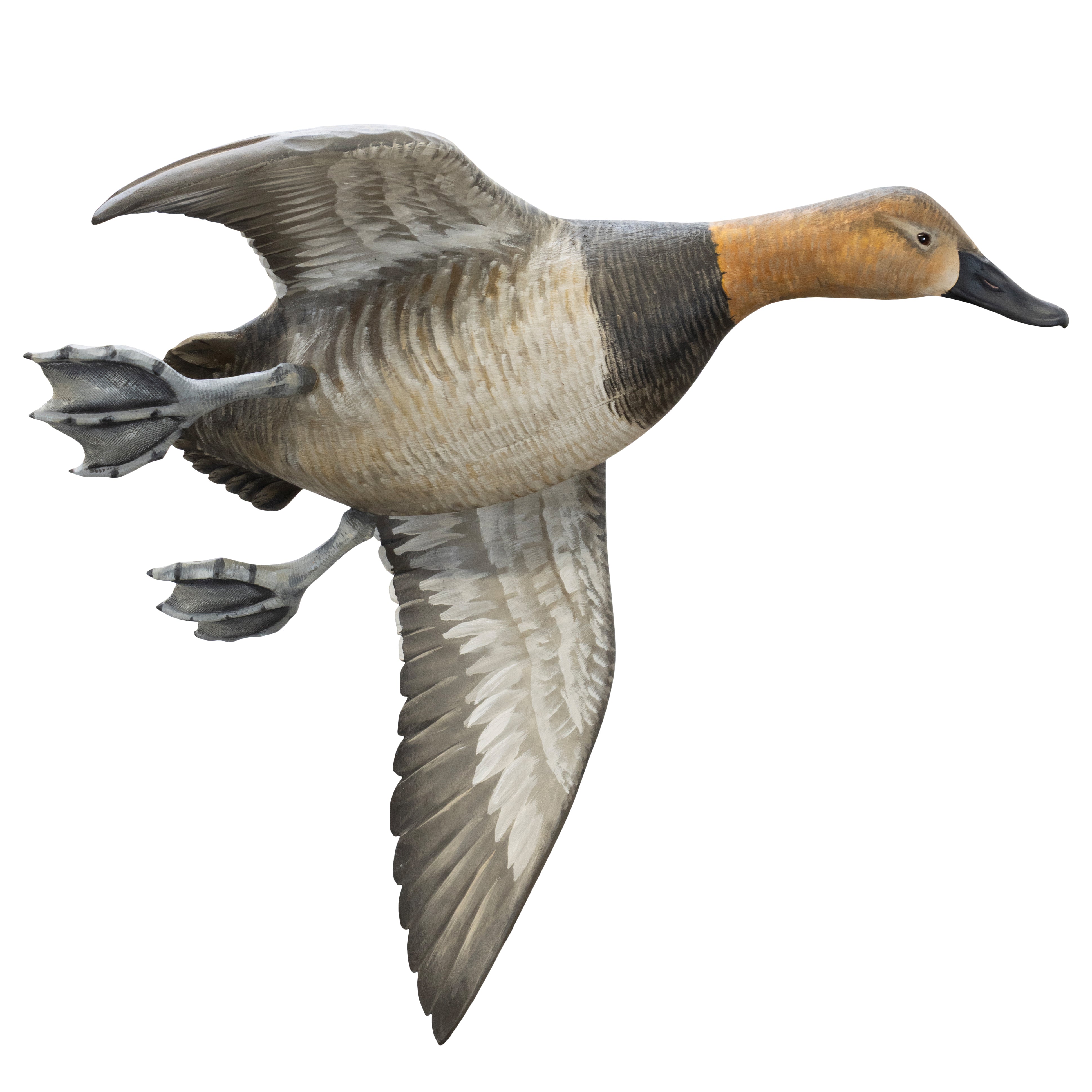 Pair Flying Canvasback Decoys by Borrett