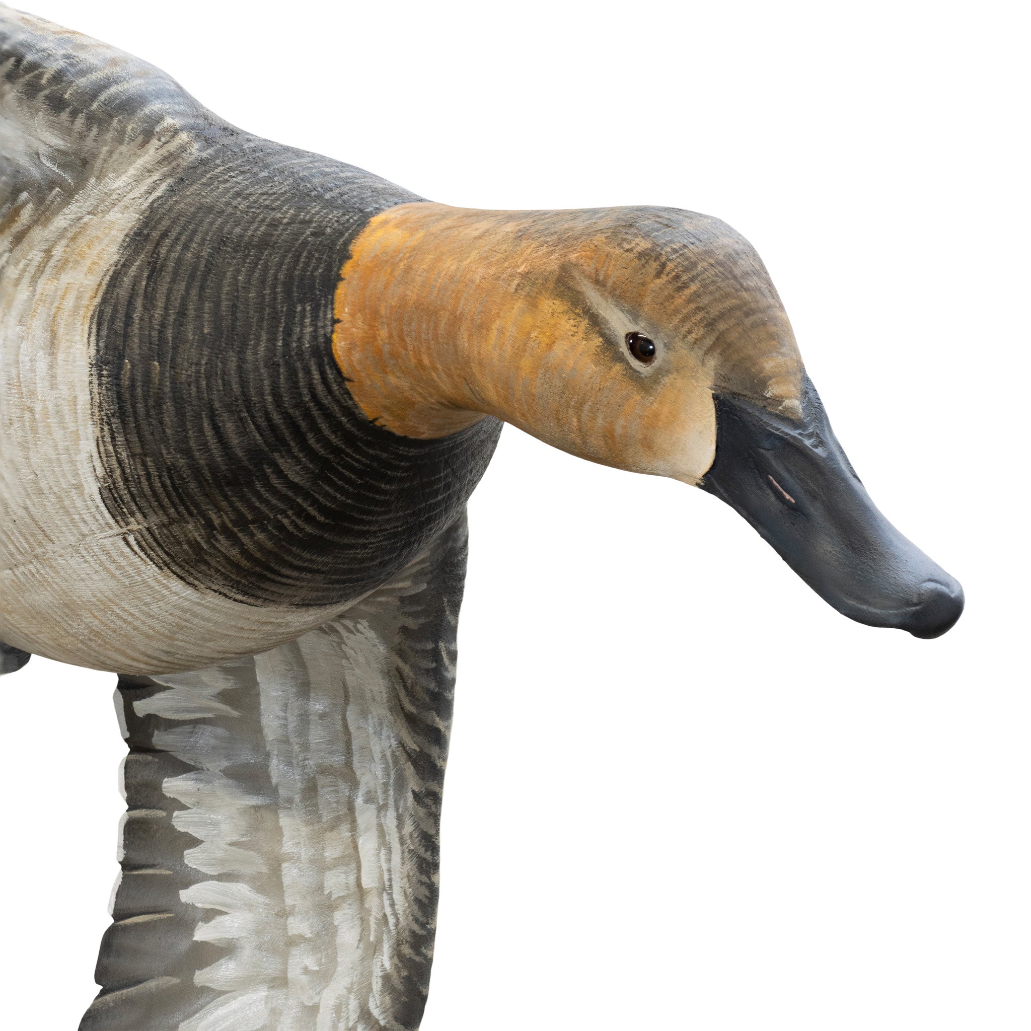 Pair Flying Canvasback Decoys by Borrett