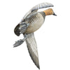Pair Flying Canvasback Decoys by Borrett