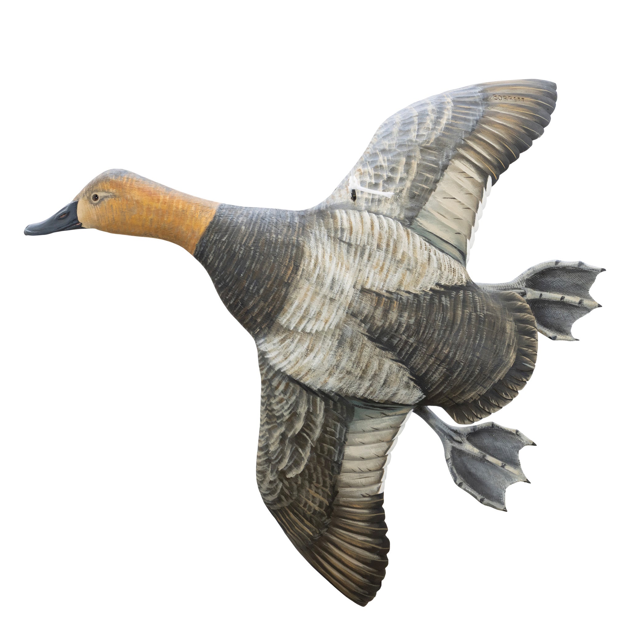 Pair Flying Canvasback Decoys by Borrett
