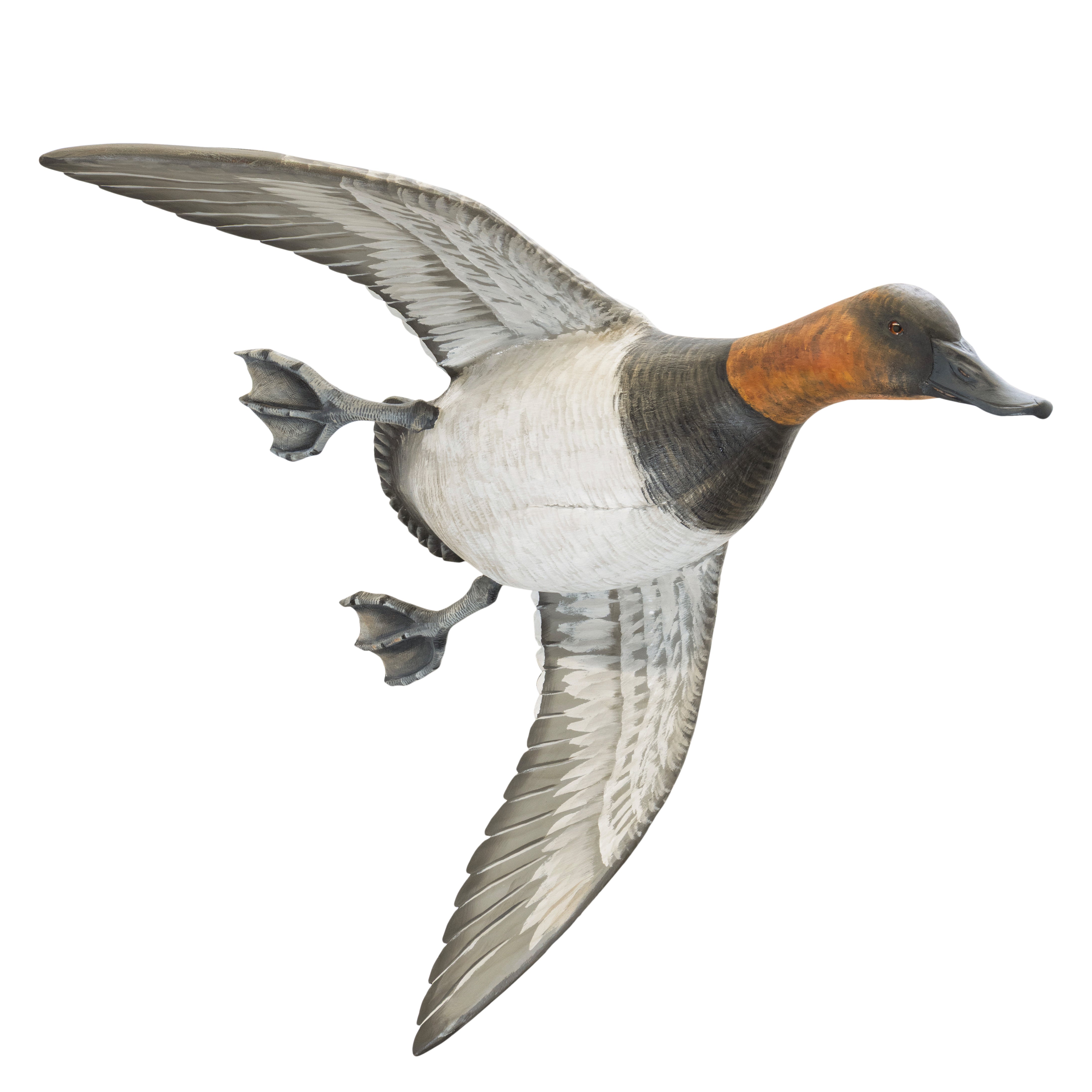 Pair Flying Canvasback Decoys by Borrett
