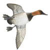 Pair Flying Canvasback Decoys by Borrett