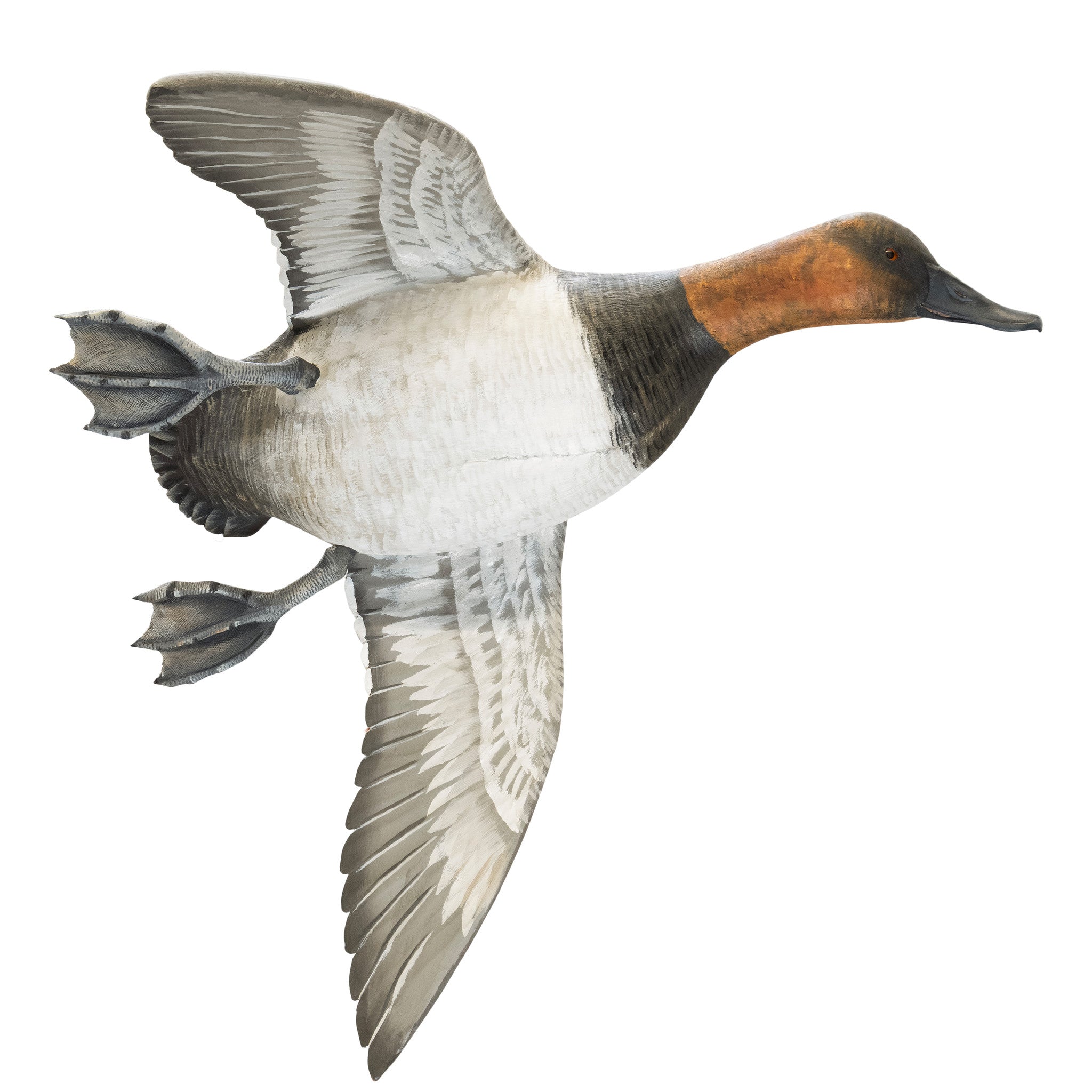 Pair Flying Canvasback Decoys by Borrett