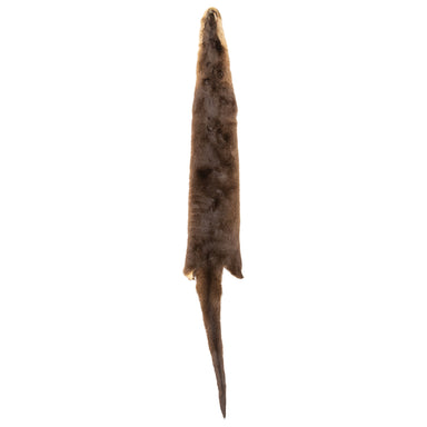 Otter Pelt, Furnishings, Taxidermy, Other