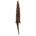 Otter Pelt, Furnishings, Taxidermy, Other