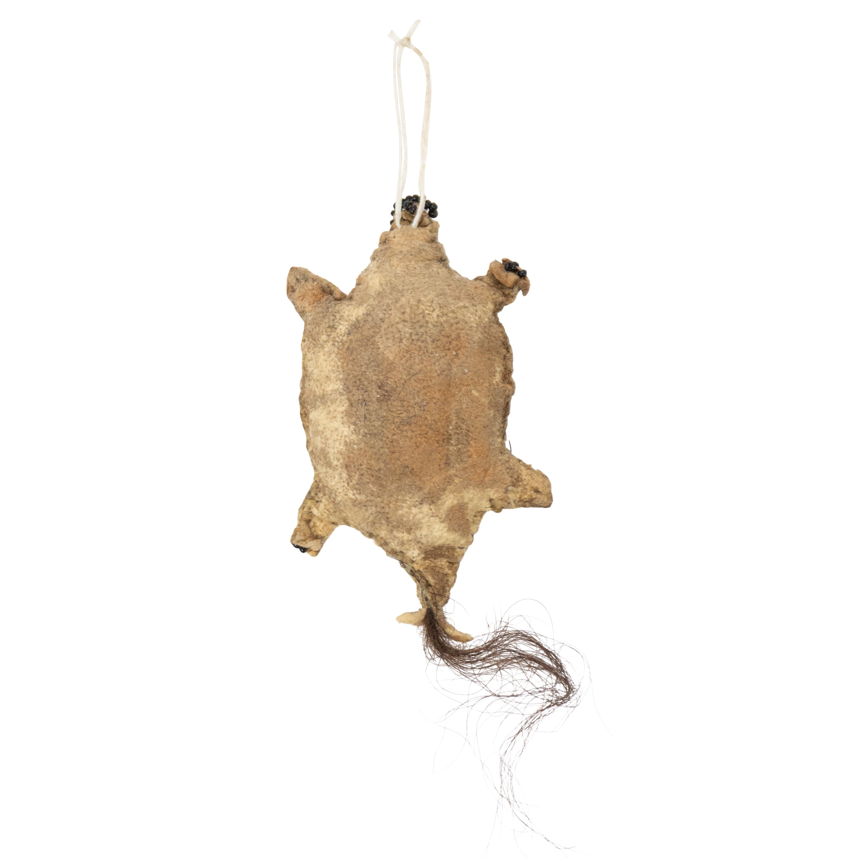 Shoshone Turtle Fetish