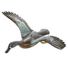 Flying Bluewing Teal by Borrett, Sporting Goods, Hunting, Waterfowl Decoy