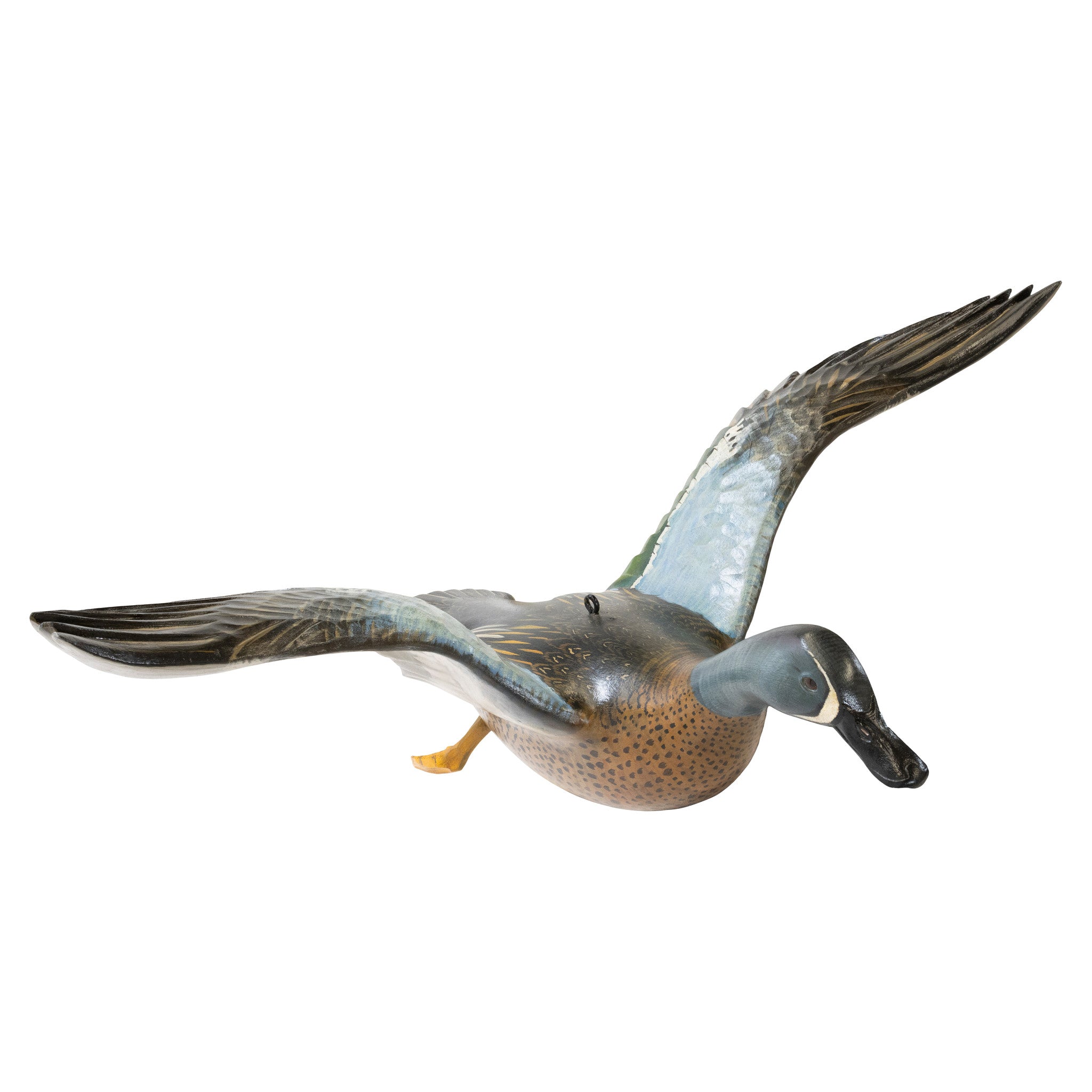 Flying Bluewing Teal by Borrett