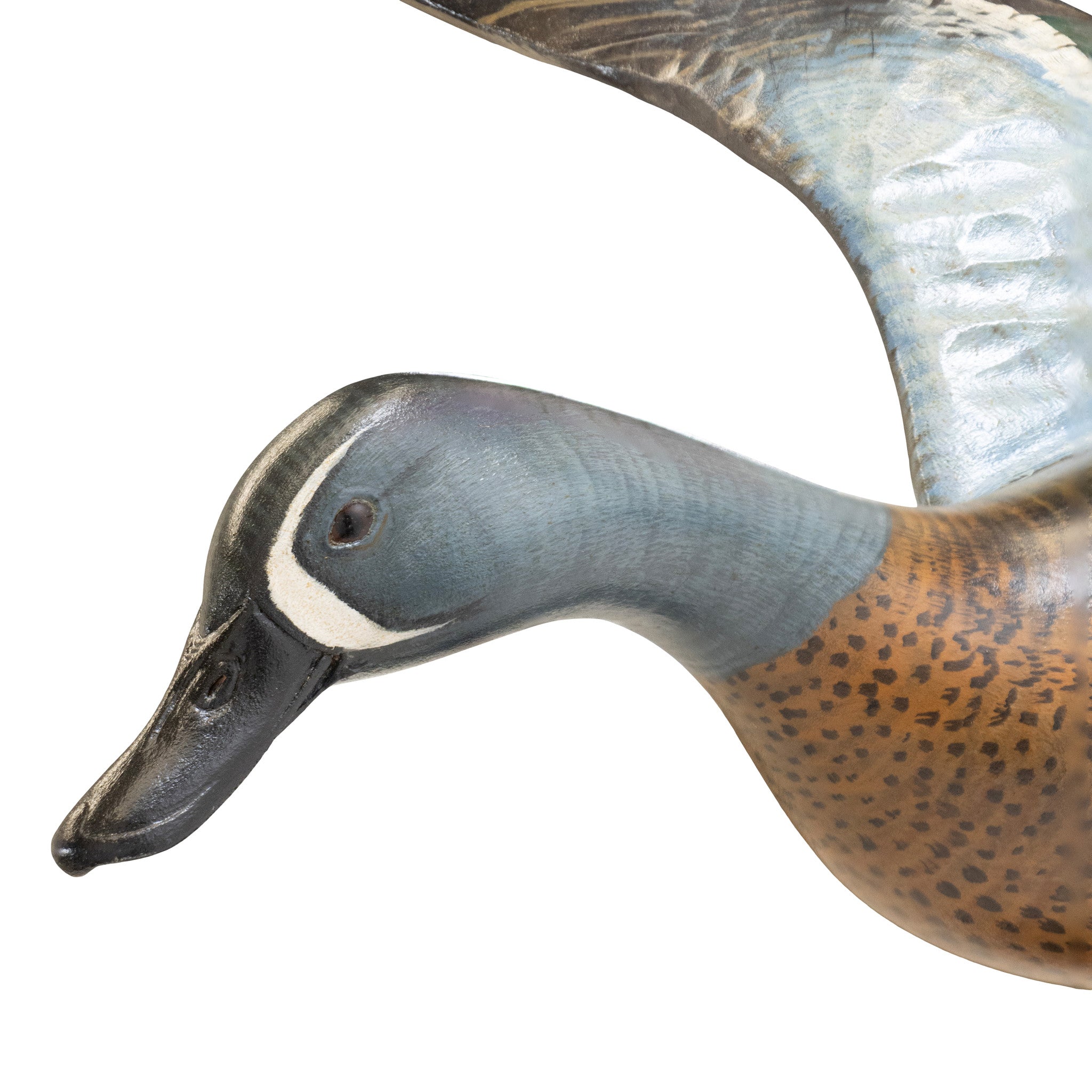 Flying Bluewing Teal by Borrett