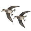 Flying Ruddy Duck Pair by Borrett, Sporting Goods, Hunting, Waterfowl Decoy
