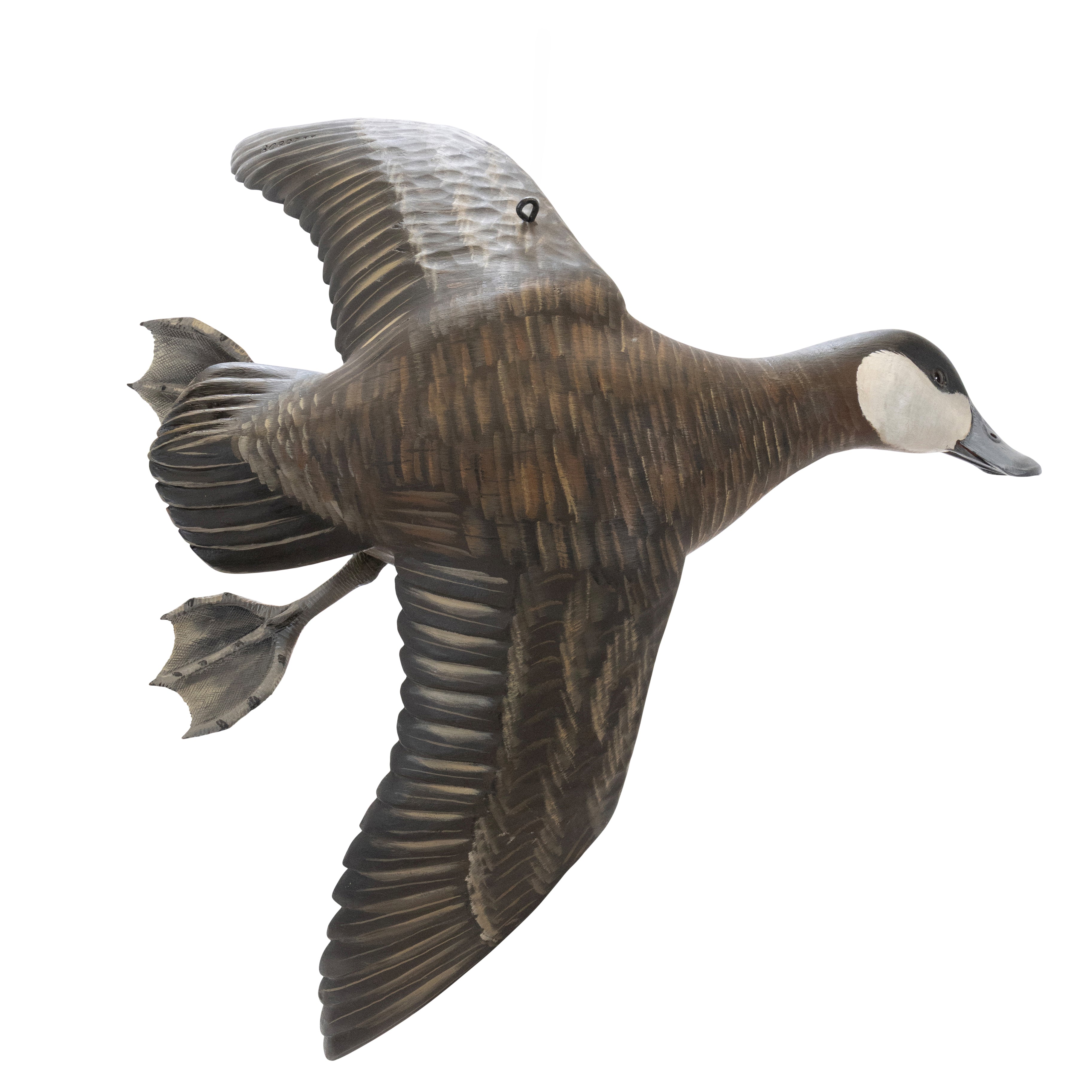 Flying Ruddy Duck Pair by Borrett