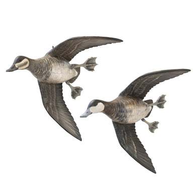 Flying Ruddy Duck Pair by Borrett, Sporting Goods, Hunting, Waterfowl Decoy
