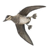 Flying Ruddy Duck Pair by Borrett