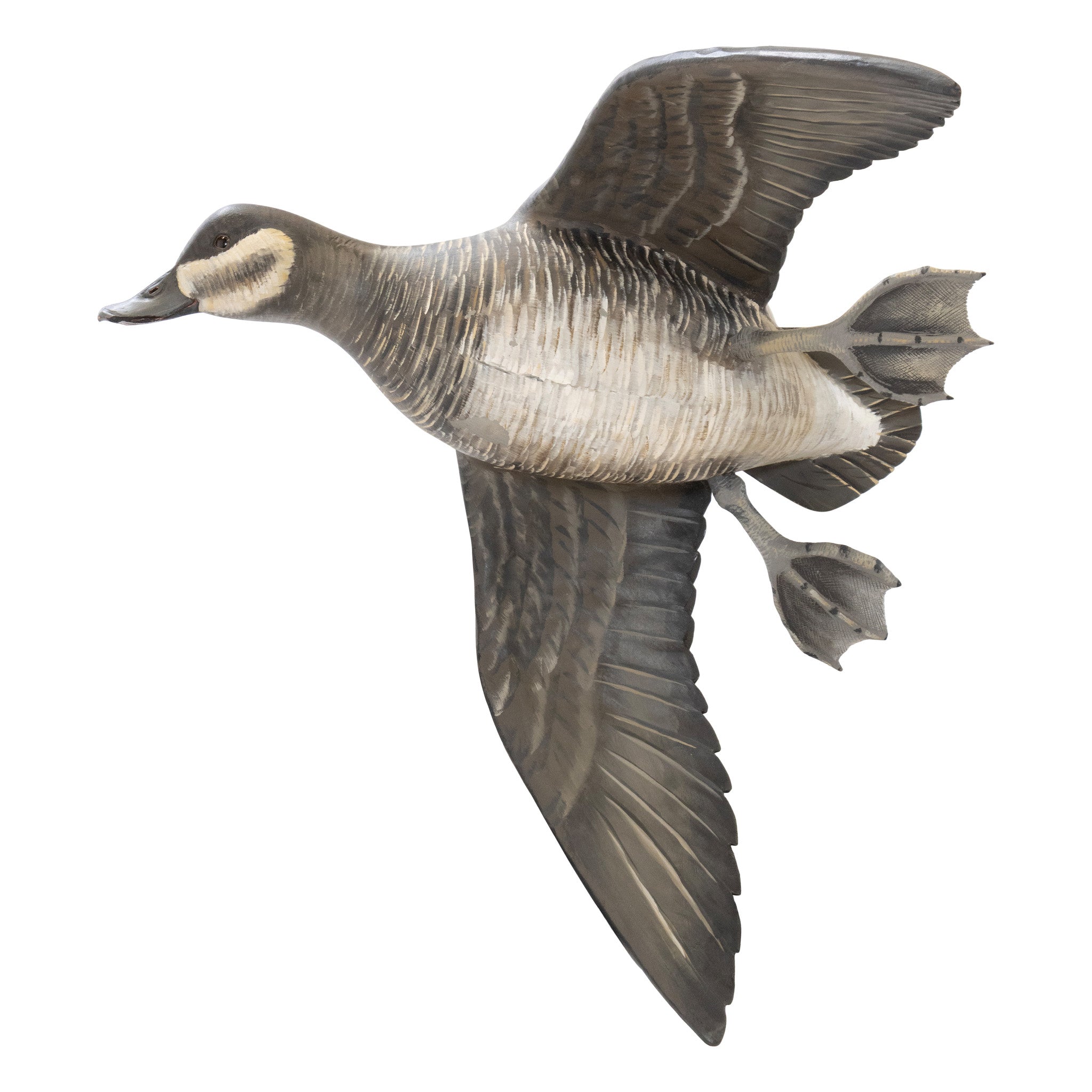 Flying Ruddy Duck Pair by Borrett