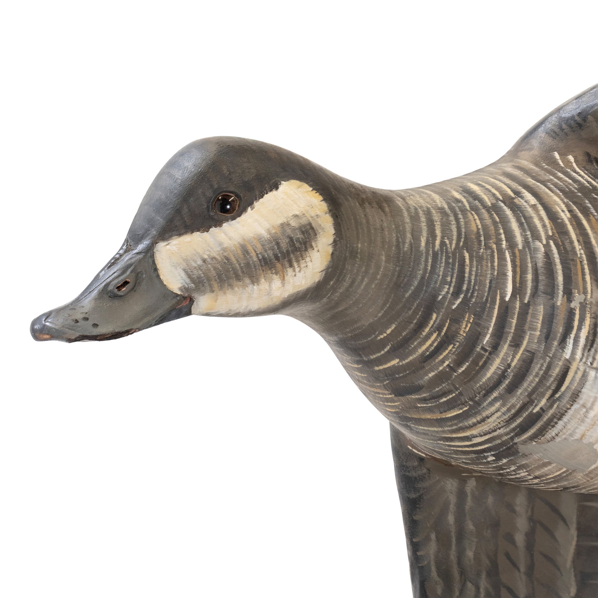 Flying Ruddy Duck Pair by Borrett