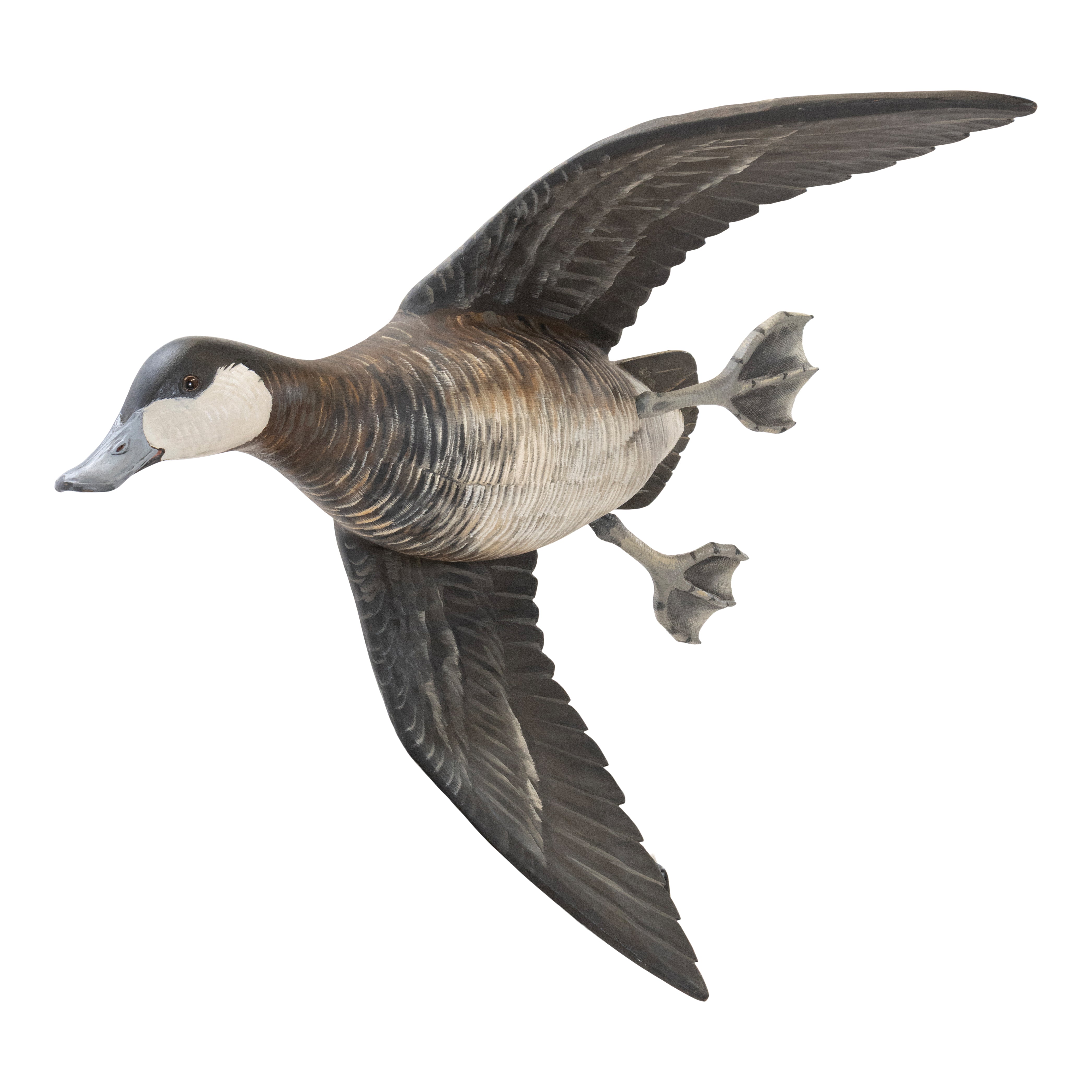 Flying Ruddy Duck Pair by Borrett
