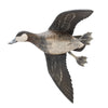 Flying Ruddy Duck Pair by Borrett