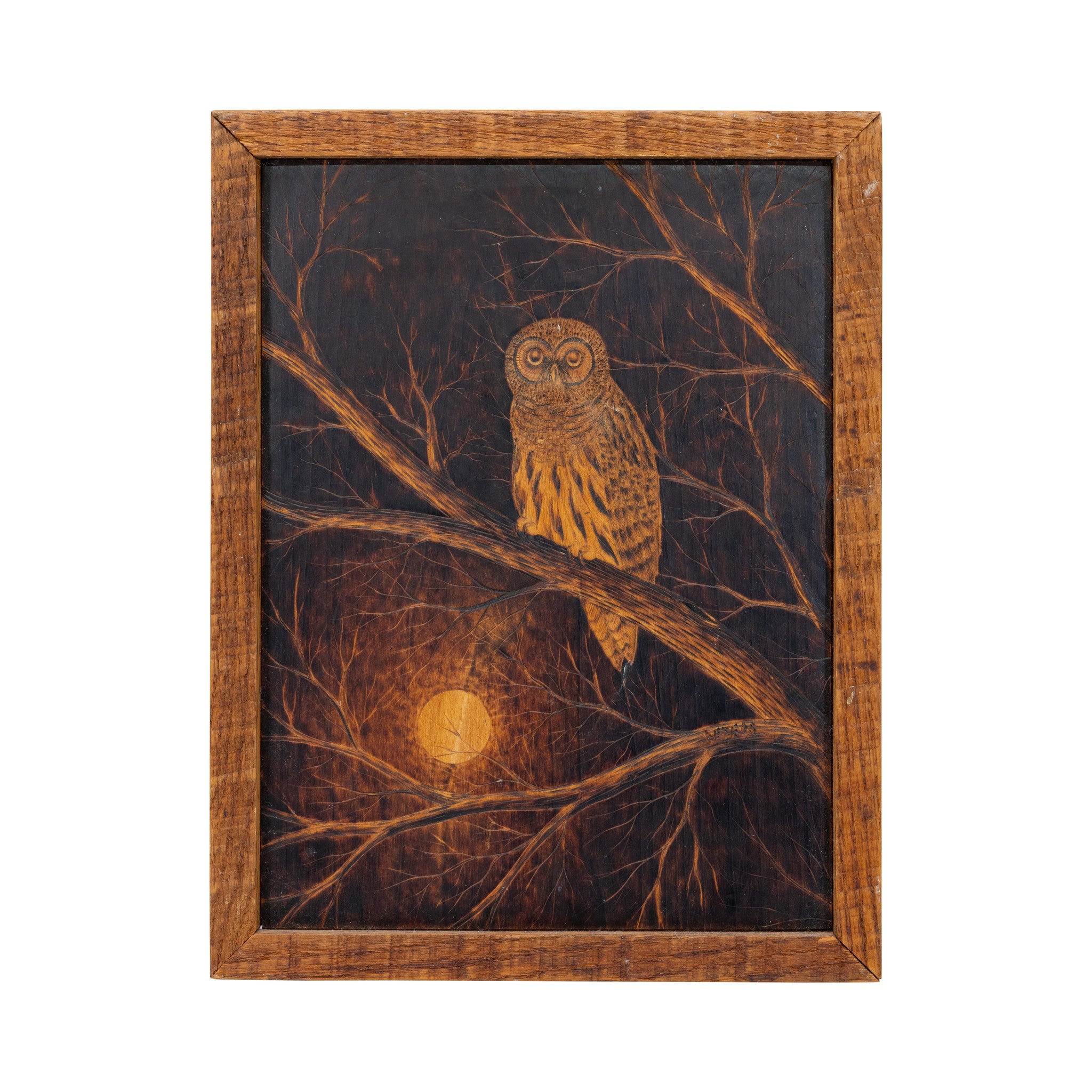 "Barred Owl" Pyrography Plaque by Bert Peters
