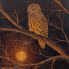 "Barred Owl" Pyrography Plaque by Bert Peters