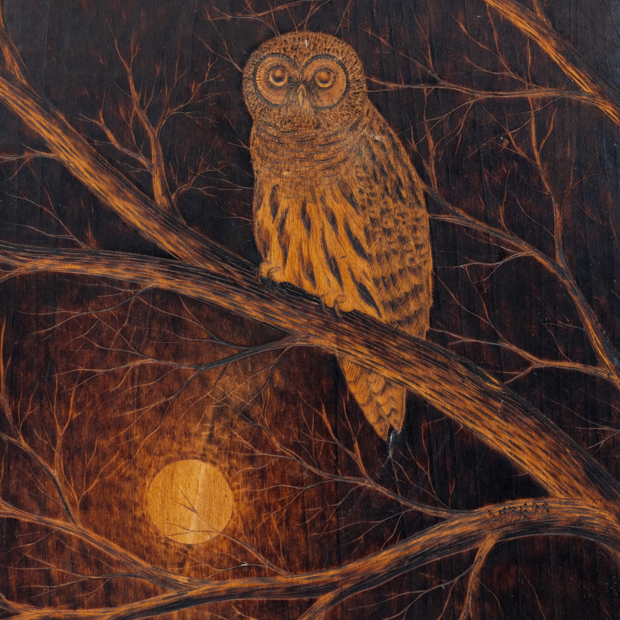 "Barred Owl" Pyrography Plaque by Bert Peters