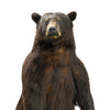 Standing Black Bear