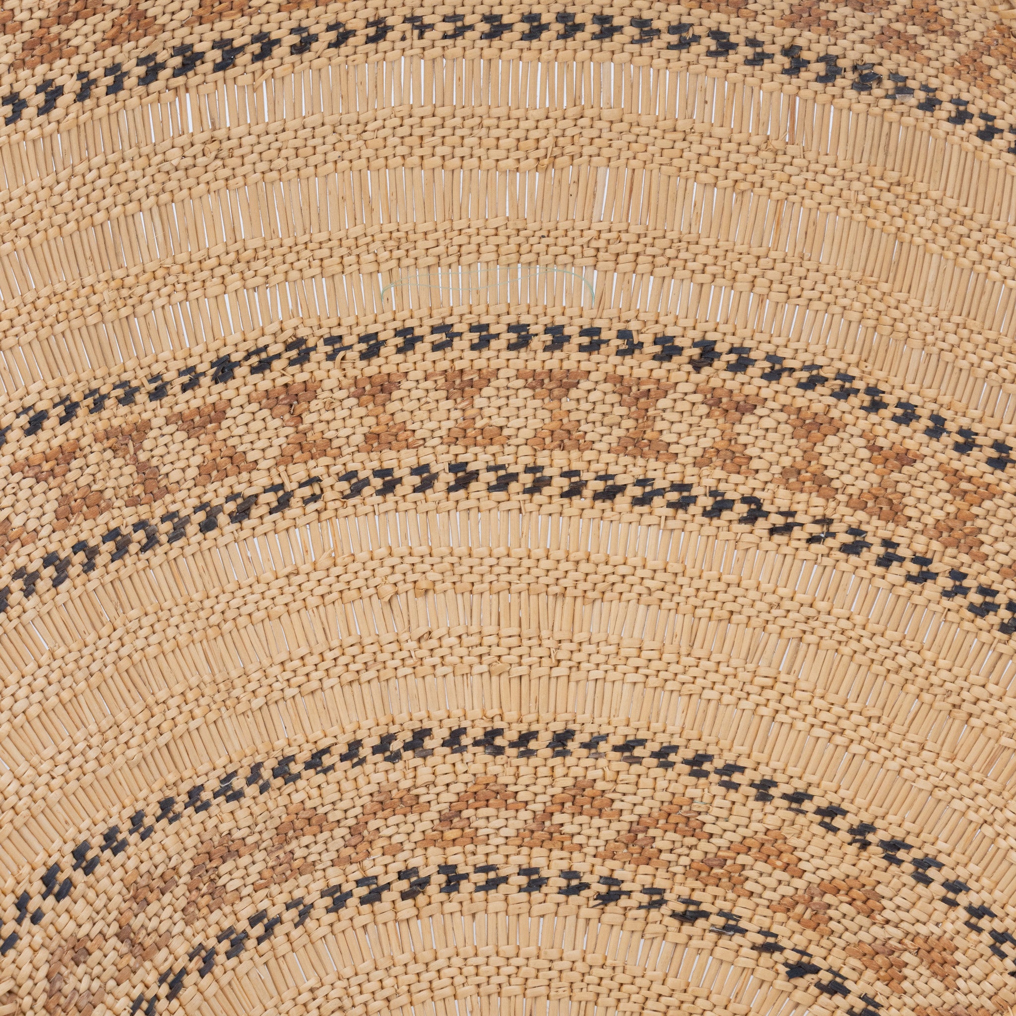 Washoe Winnowing Basketry Tray by Enie Cornbread