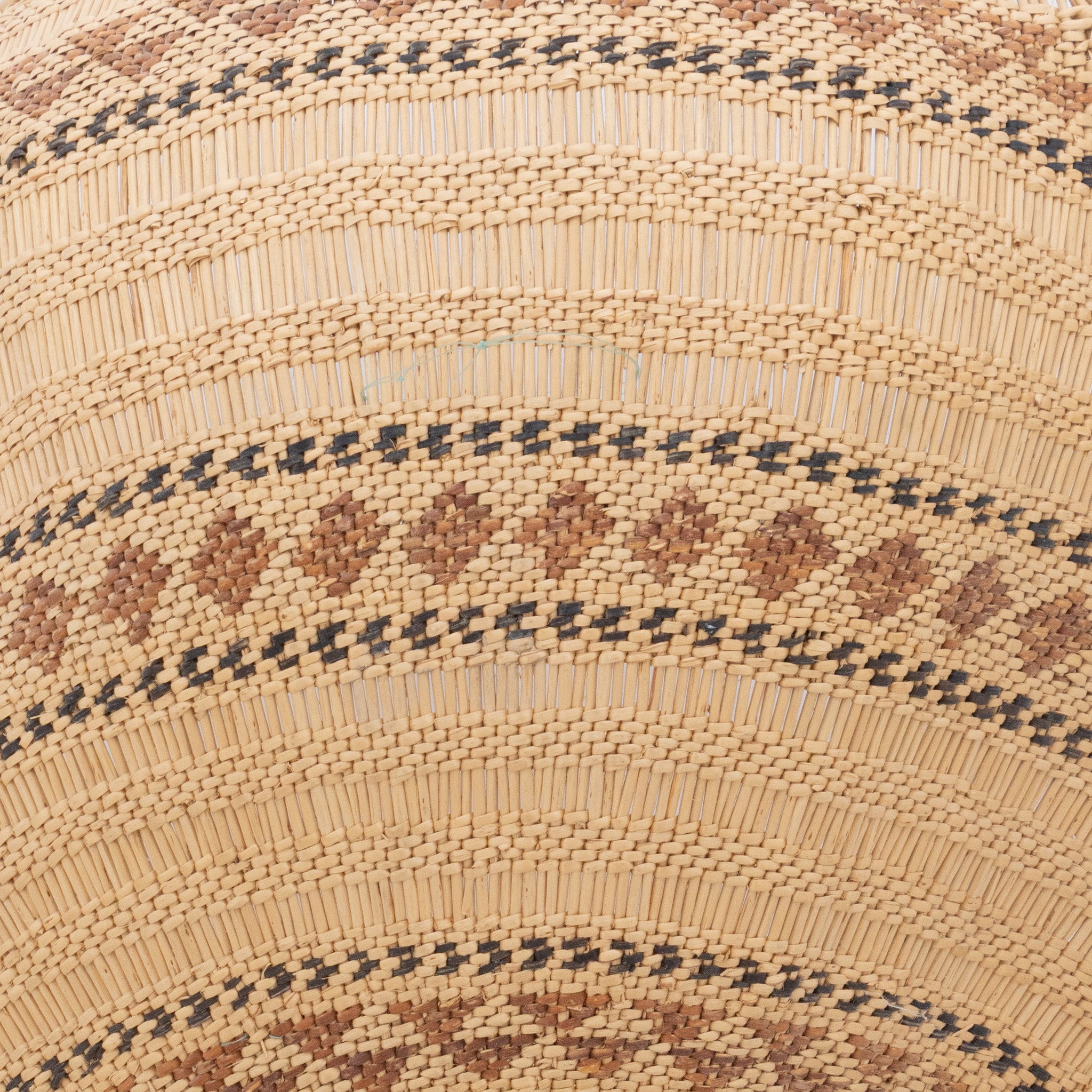 Washoe Winnowing Basketry Tray by Enie Cornbread