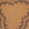 Washoe/Maidu Basketry Tray