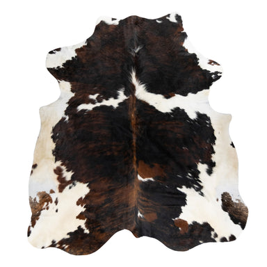 Longhorn Hide, Furnishings, Taxidermy, Longhorn