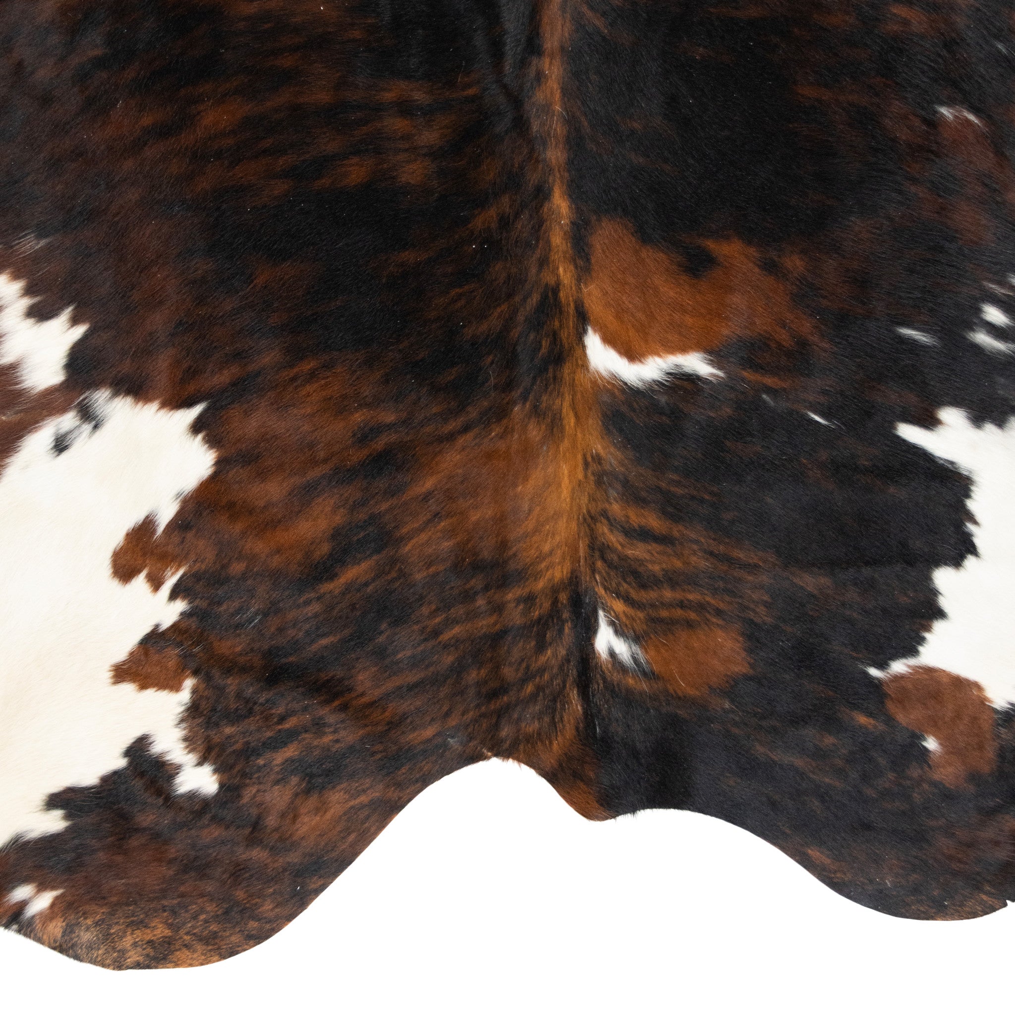 Longhorn Hide