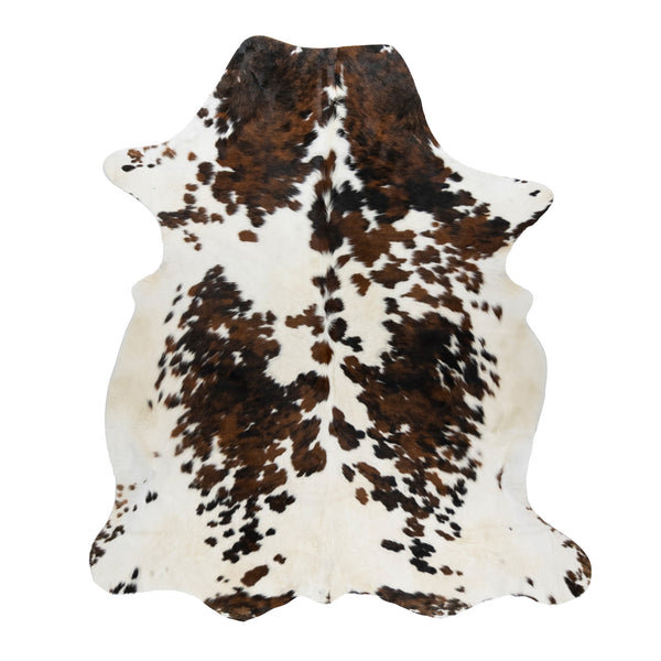 Longhorn Hide, Furnishings, Taxidermy, Longhorn